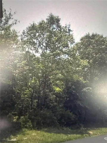 View of nature