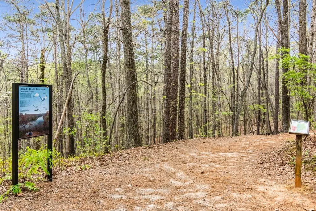 1355 Indian Trail Nw, Sandy Springs, Georgia 30327, 4 Bedrooms Bedrooms, ,4 BathroomsBathrooms,Residential,Sold,1355 Indian Trail Nw,7162959