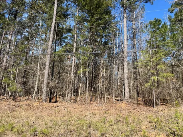 0 Jones Road, South Fulton, Georgia 30213