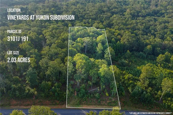 Lt 191 Oak Park Drive, Talking Rock, Georgia 30175