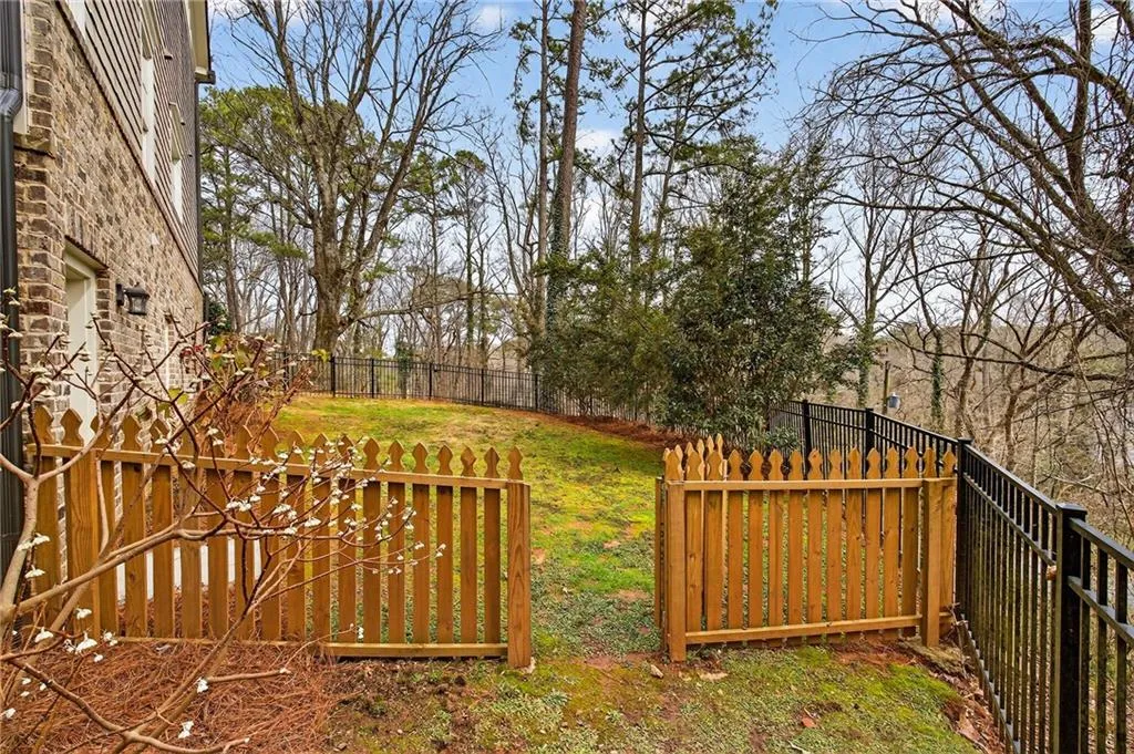 Side yard and lower level entry