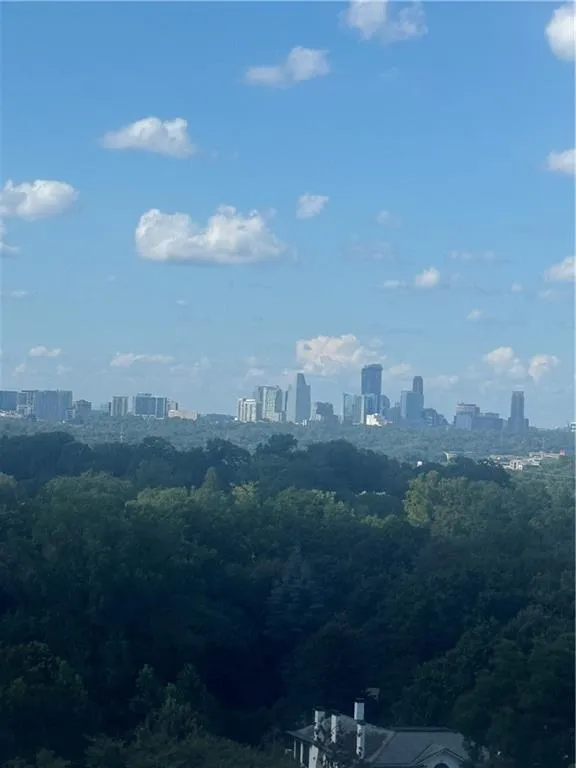Skyline view with a forest