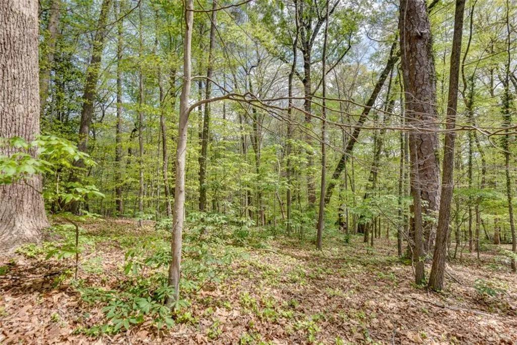 4276 Wieuca Road Ne, Atlanta, Georgia 30342, 3 Bedrooms Bedrooms, ,2 BathroomsBathrooms,Land,For Sale,4276 Wieuca Road Ne,7559620