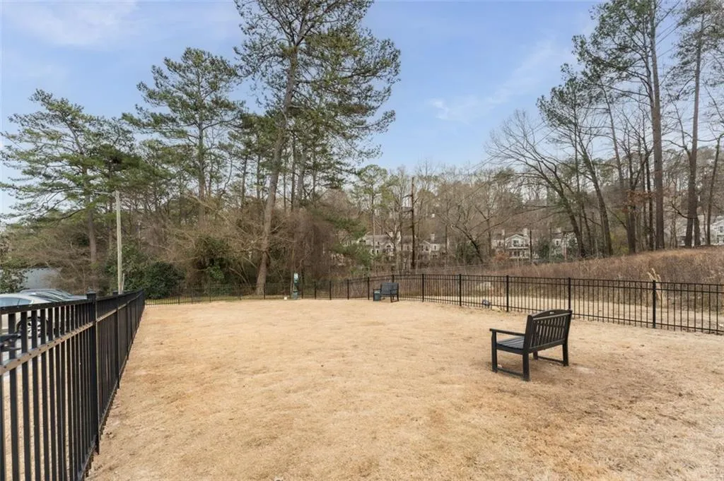 Large dog park