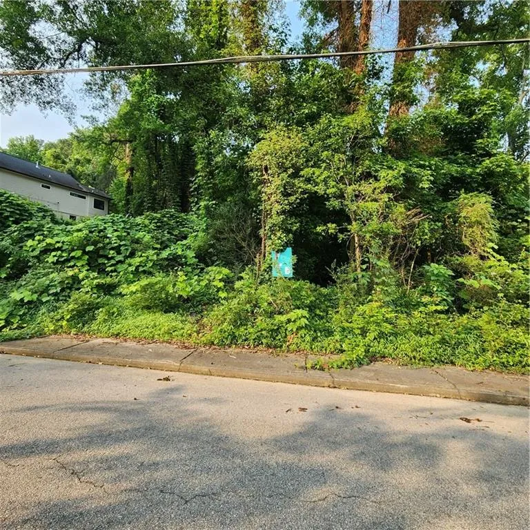 1039 Margaret Place, Atlanta, Georgia 30318, ,Land,For Sale,1039 Margaret Place,7606926
