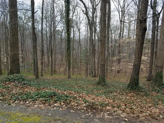 4633 Post Oak Tritt Road, Marietta, Georgia 30062