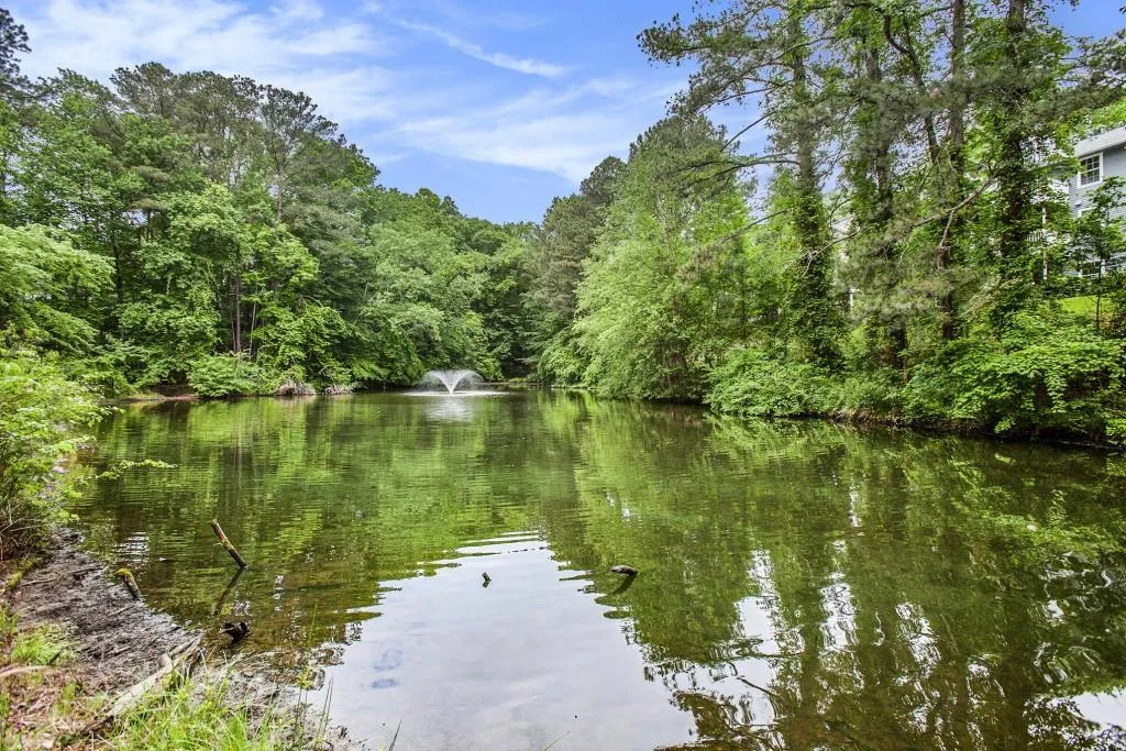 Pond