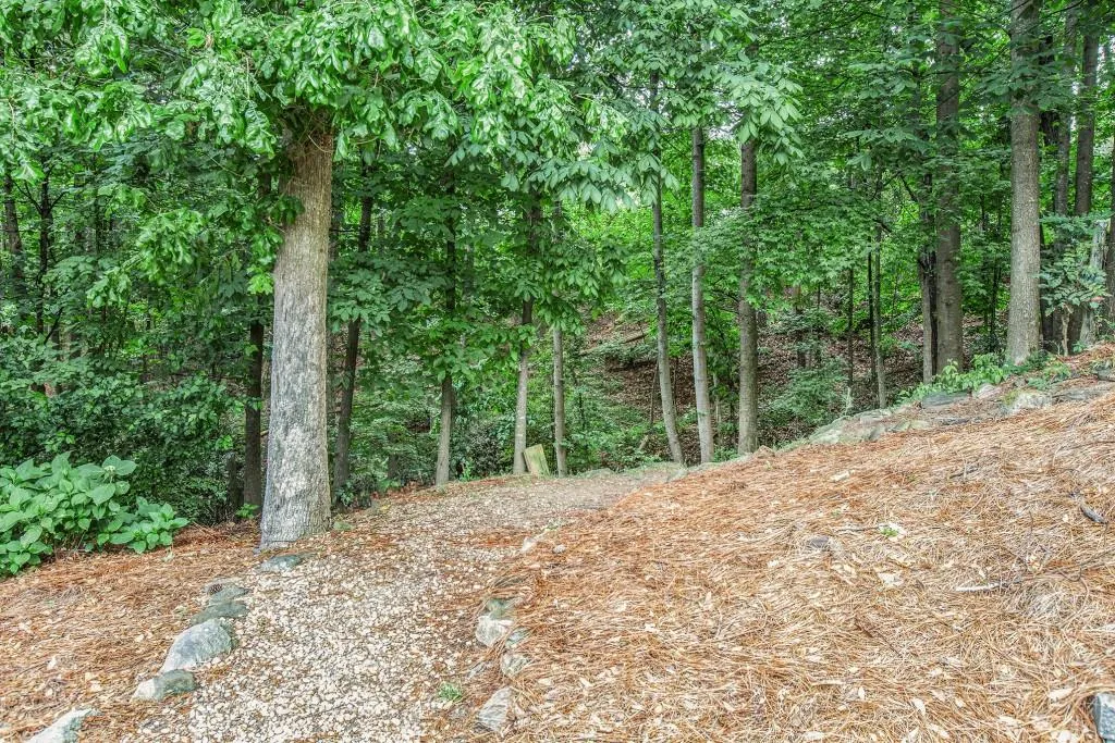 Walking Trails