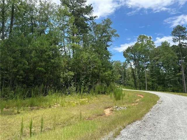 0 Hamilton Road, Chattahoochee Hills, Georgia 30268