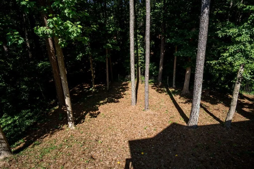 390 Spindle Court, Atlanta, Georgia 30350, 4 Bedrooms Bedrooms, ,3 BathroomsBathrooms,Residential,Sold,390 Spindle Court,6588399
