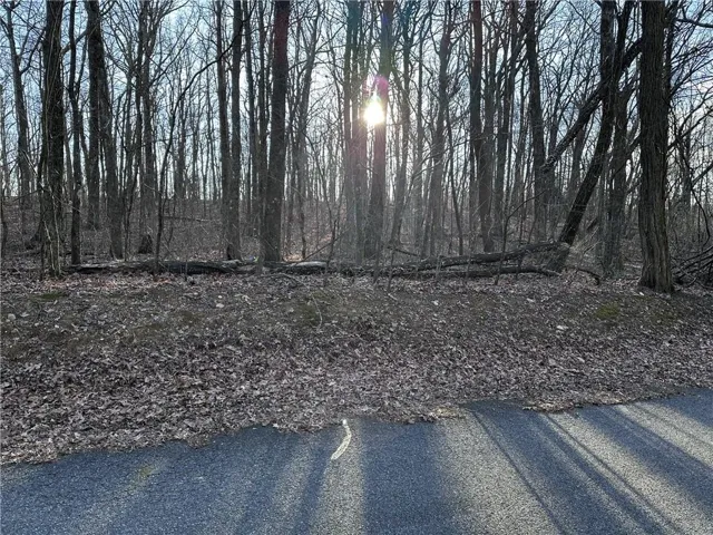 road scan left to right
