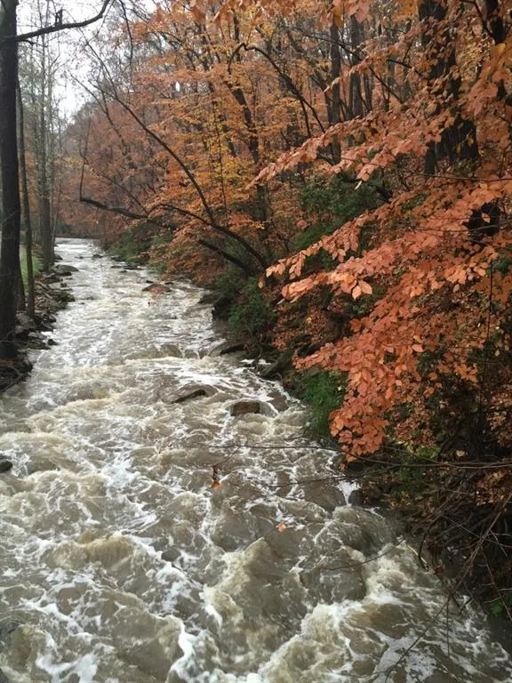 195 N Mill Court, Sandy Springs, Georgia 30328, 4 Bedrooms Bedrooms, ,3 BathroomsBathrooms,Residential,Sold,195 N Mill Court,6744800