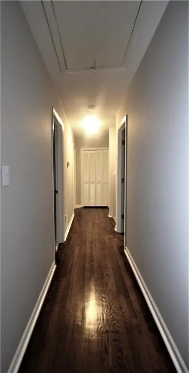 430 Lost Forest Court, Sandy Springs, Georgia 30328, 6 Bedrooms Bedrooms, ,3 BathroomsBathrooms,Residential,Sold,430 Lost Forest Court,6694430