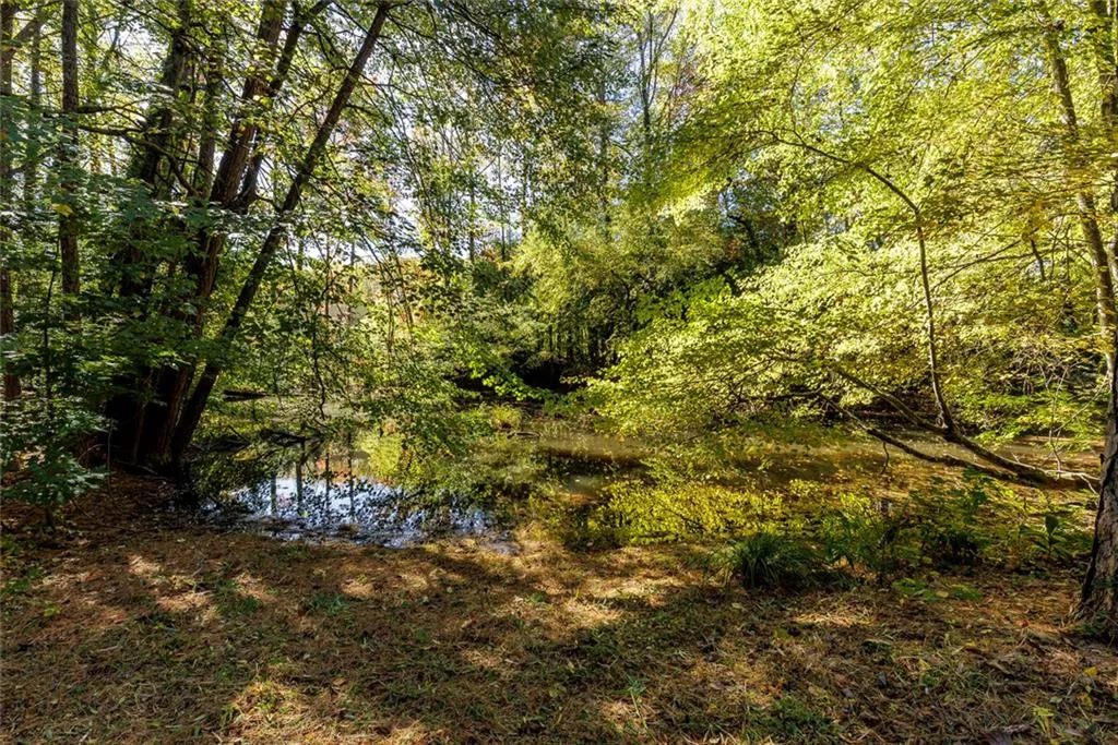 5825 Mitchell Rd_MLS_46.jpg