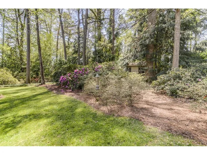 365 Pine Forest Road Ne, Sandy Springs, Georgia 30342, 3 Bedrooms Bedrooms, ,2 BathroomsBathrooms,Residential,Sold,365 Pine Forest Road Ne,5953650