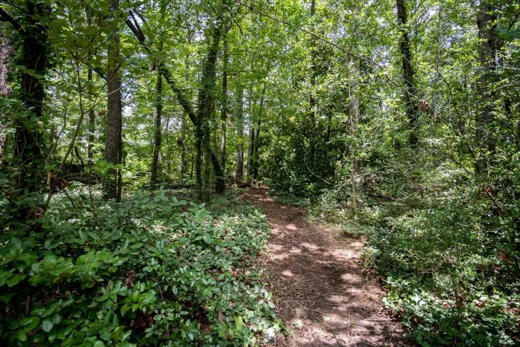 2940 Caldwell Road Ne, Brookhaven, Georgia 30319, ,Land,Sold,2940 Caldwell Road Ne,5867590