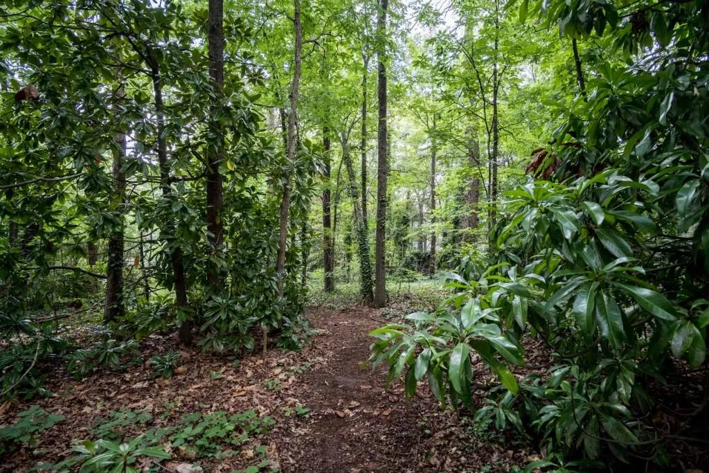 2940 Caldwell Road Ne, Brookhaven, Georgia 30319, ,Land,Sold,2940 Caldwell Road Ne,5867590