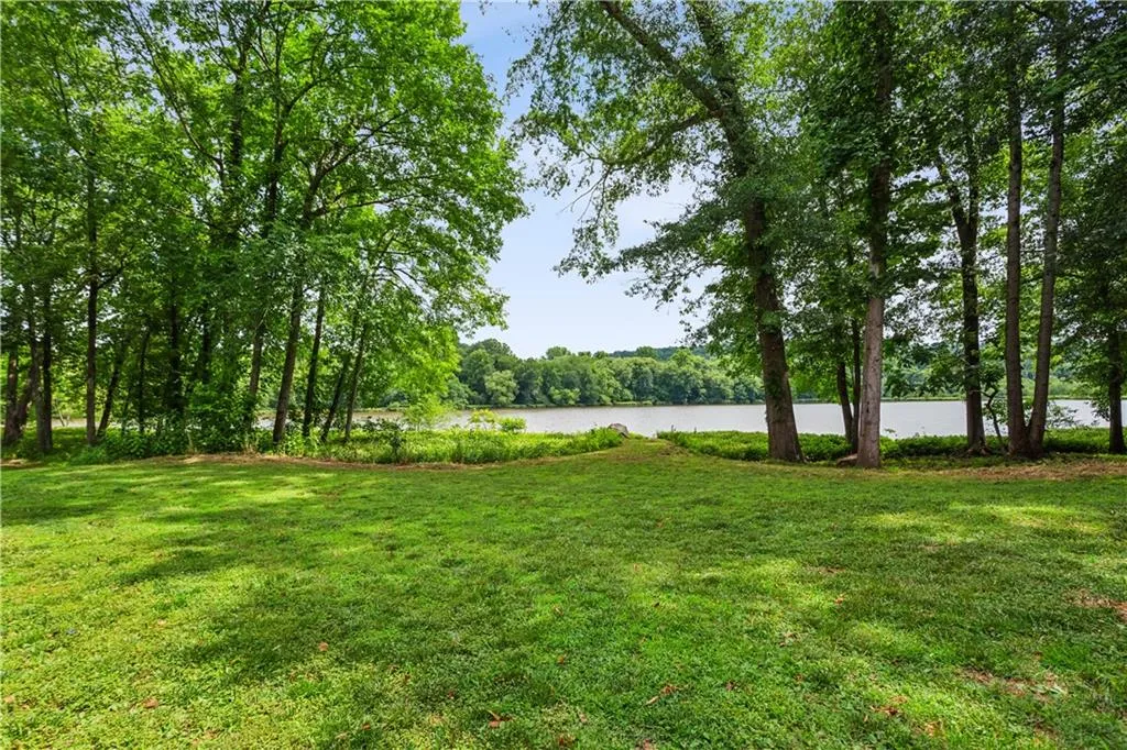 Your backyard view...