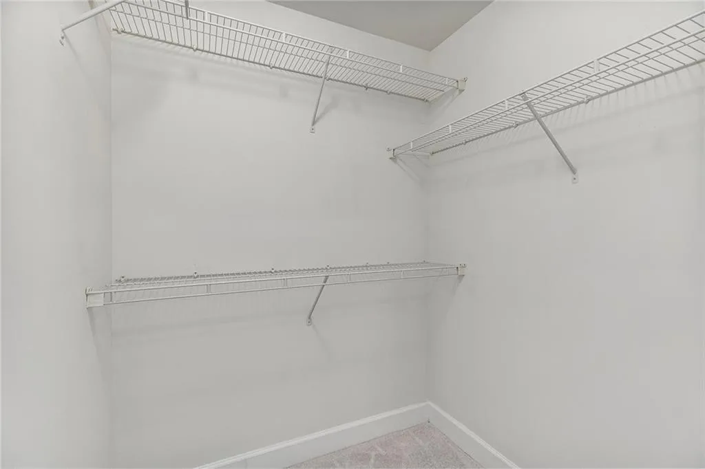Walk in closet with carpet flooring