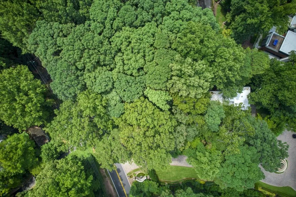 837 Mount Paran Road, Sandy Springs, Georgia 30327, 4 Bedrooms Bedrooms, ,3 BathroomsBathrooms,Residential,Sold,837 Mount Paran Road,7108715