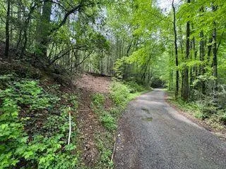 View of road with a wooded view