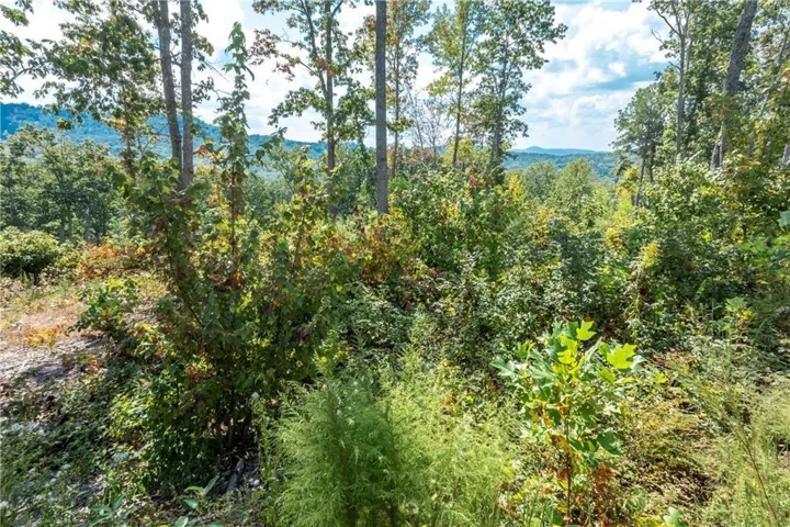 279 Highgrove Drive, Talking Rock, Georgia 30175