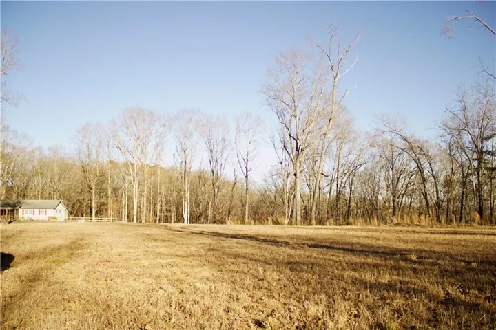 View of yard featuring a forest view