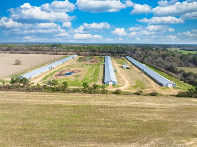 6 Breeder poultry farm for sale