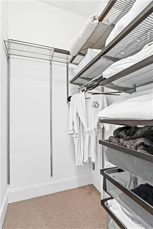 Basement guest Walk in closet