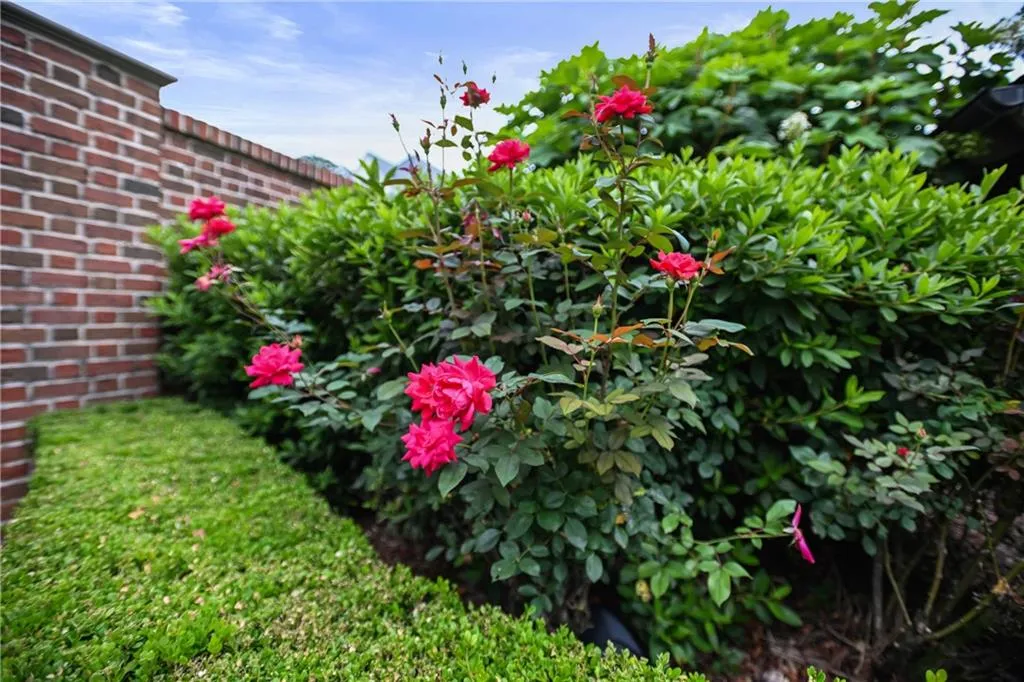 Garden border featuring vibrant pink rose bushes, manicured green groundcover, and a red brick wall