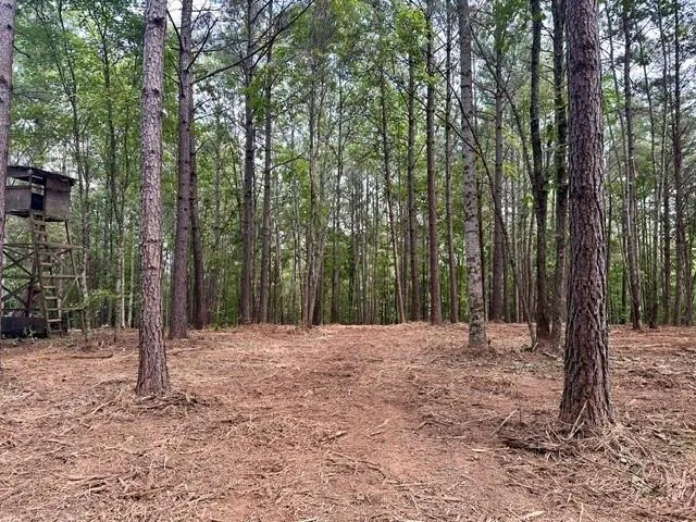 130 Patriot View Drive, Dahlonega, Georgia 30533