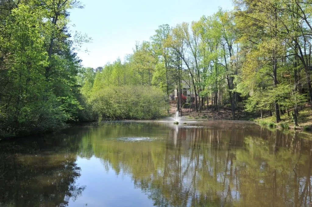 225 Rivermere Way, Atlanta, Georgia 30350, 5 Bedrooms Bedrooms, ,5 BathroomsBathrooms,Residential,Sold,225 Rivermere Way,5950654