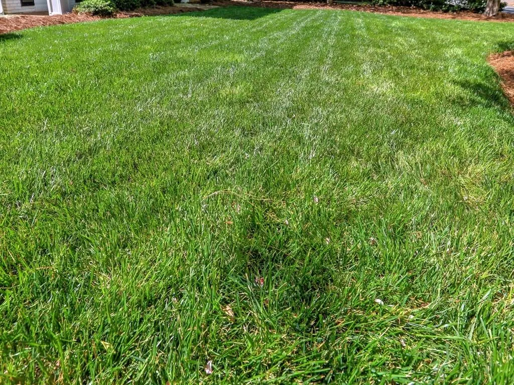 345 Earlston Drive, Sandy Springs, Georgia 30328, 4 Bedrooms Bedrooms, ,2 BathroomsBathrooms,Residential,Sold,345 Earlston Drive,6708574 345 Earlston Drive, Sandy Springs, Georgia 30328, 4 Bedrooms Bedrooms, ,2 BathroomsBathrooms,Residential,Sold,345 Earlston Drive,6708574