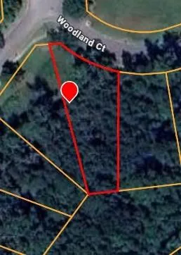 Property Boundary Map. Illustrating the property's perimeter and surrounding parcels