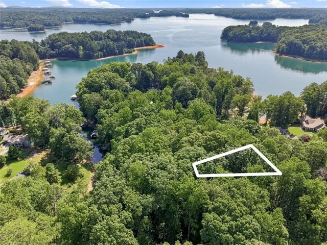 Wooded parcel outlined in white, featuring mature trees and partial water frontage on a large lake