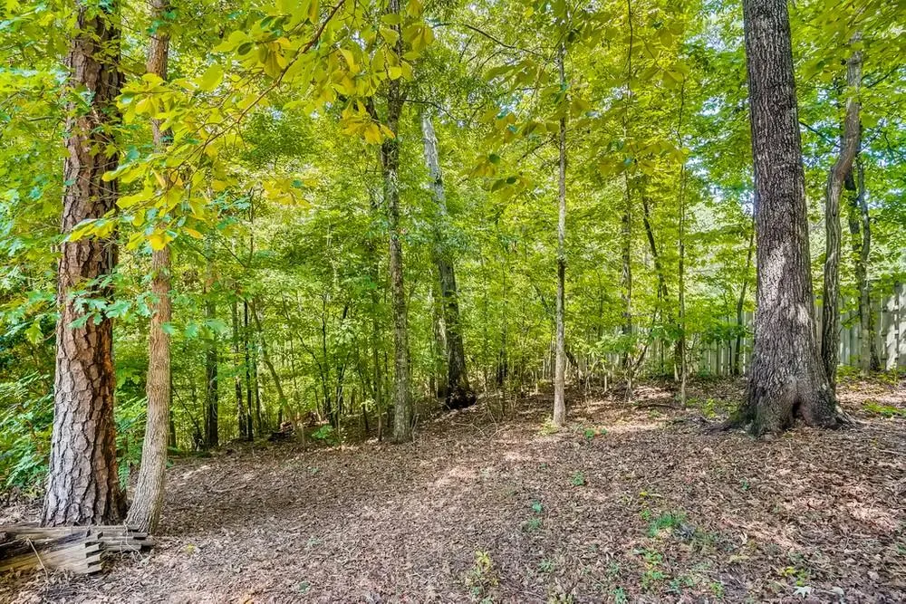 14 Forest Ridge Court, Sandy Springs, Georgia 30350, 3 Bedrooms Bedrooms, ,3 BathroomsBathrooms,Residential,Sold,14 Forest Ridge Court,6921312