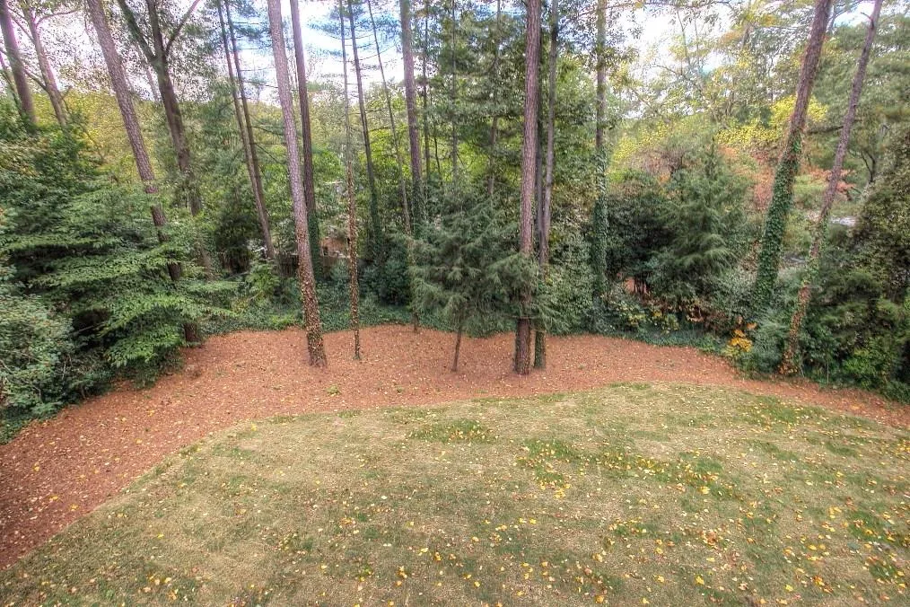780 Starlight Drive, Sandy Springs, Georgia 30342, 5 Bedrooms Bedrooms, ,5 BathroomsBathrooms,Residential,Sold,780 Starlight Drive,5706325
