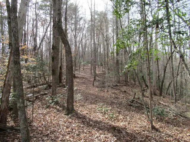 00 Long Branch Road, Dahlonega, Georgia 30533