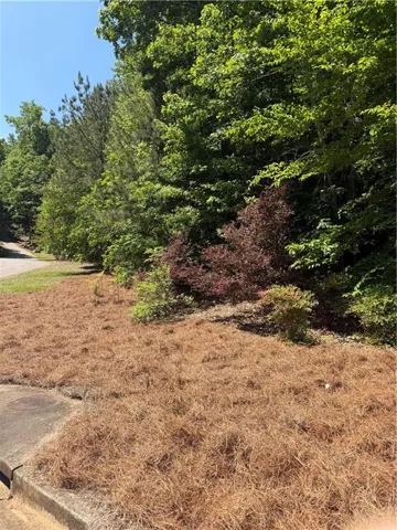 702 Windsor Estates Way, Canton, Georgia 30115