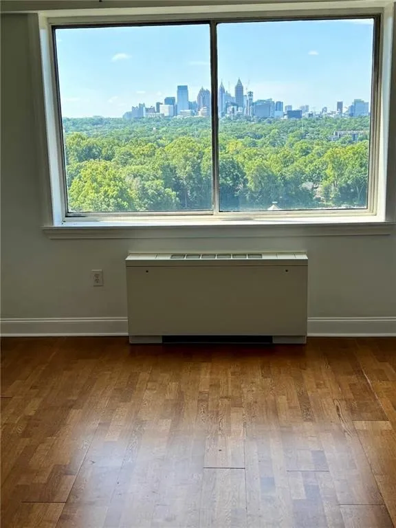 Detailed view of radiator heating unit, skyline, and wood finished floors