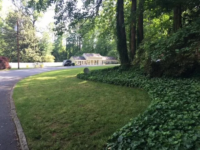 341 Pine Forest Road, Sandy Springs, Georgia 30342, 3 Bedrooms Bedrooms, ,2 BathroomsBathrooms,Residential,Sold,341 Pine Forest Road,5692715