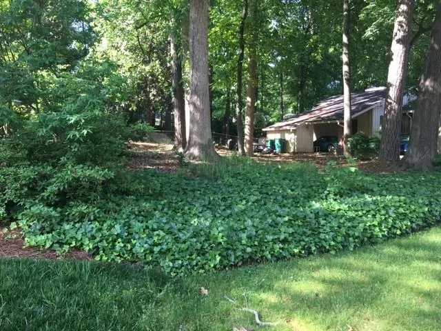 341 Pine Forest Road, Sandy Springs, Georgia 30342, 3 Bedrooms Bedrooms, ,2 BathroomsBathrooms,Residential,Sold,341 Pine Forest Road,5692715