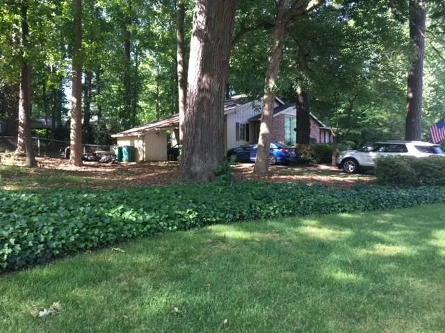 341 Pine Forest Road, Sandy Springs, Georgia 30342, 3 Bedrooms Bedrooms, ,2 BathroomsBathrooms,Residential,Sold,341 Pine Forest Road,5692715