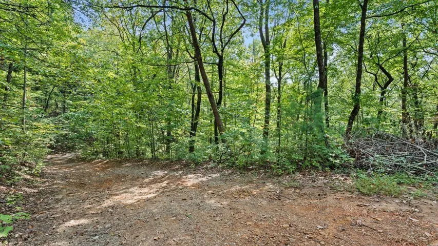 23 B Lake View Road, Cherry Log, Georgia 30522