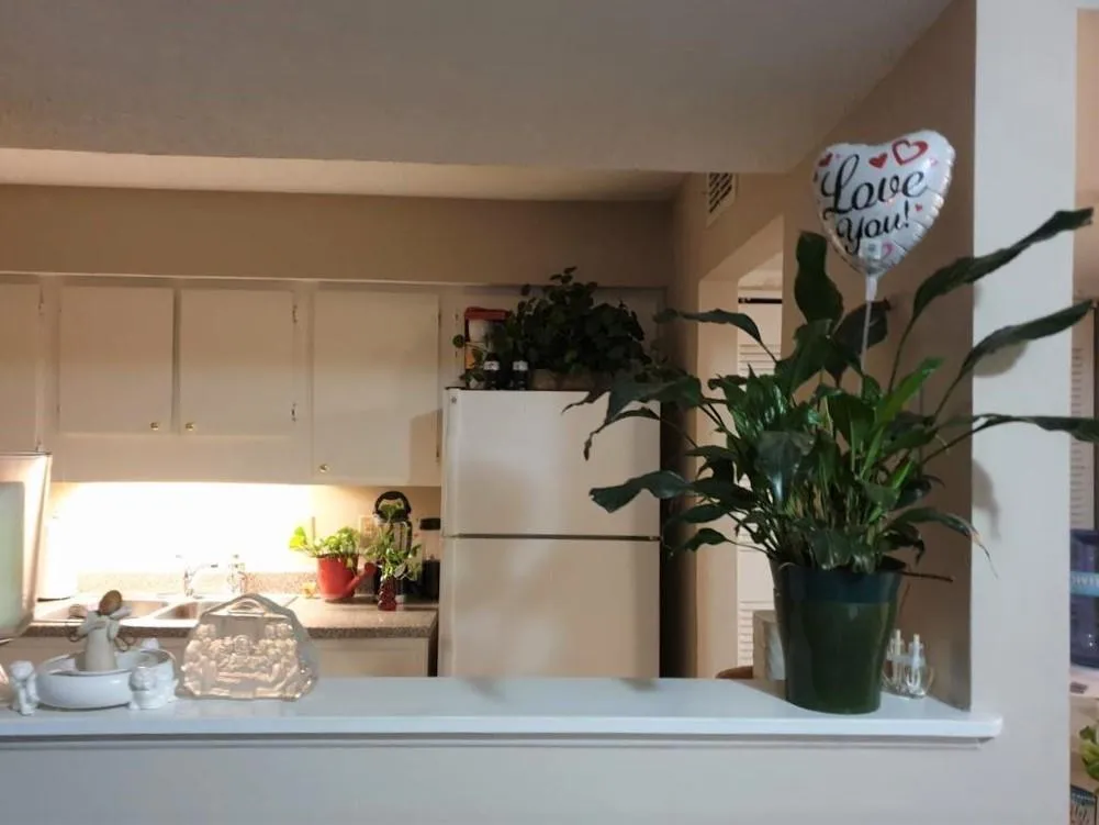 1110 Wingate Way, Sandy Springs, Georgia 30350, 1 Bedroom Bedrooms, ,1 BathroomBathrooms,Residential,Sold,1110 Wingate Way,7012629