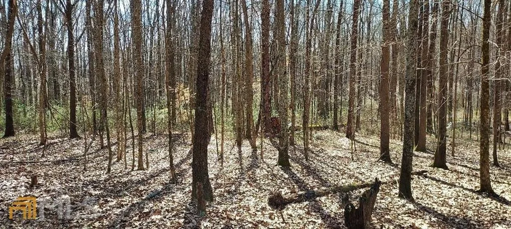 View of nature