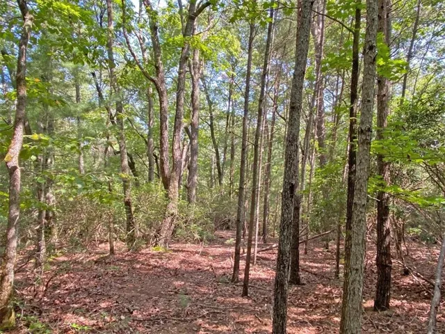10.59 Ac, Dahlonega, Georgia 30533