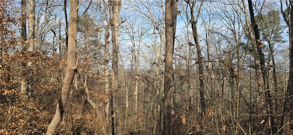 Potential long range views