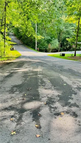 Paved road surrounded by mature trees and lush greenery