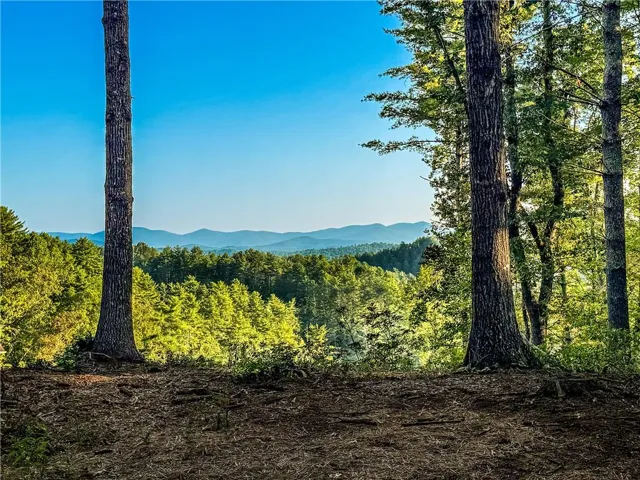 Dense wooded area with mature trees and distant mountain ranges under a clear sky
